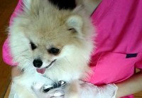 あああああ あああああ