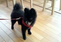 あああああ あああああ