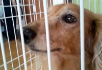 あああああ あああああ