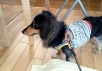 あああああ あああああ