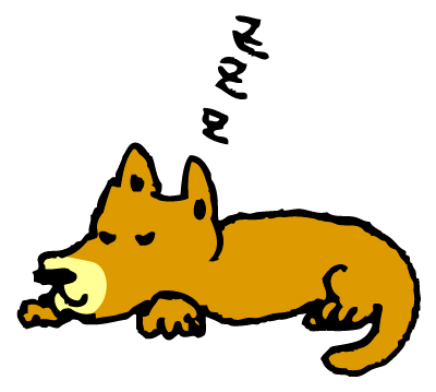 犬の顔 犬の顔