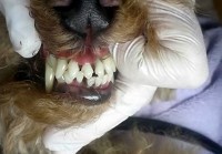 あああ あああ