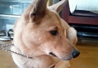 あああああ あああああ