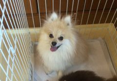あああああ あああああ