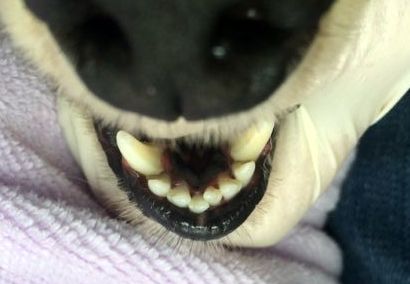 あああ あああ