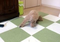 あああああ あああああ