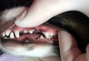 あああ あああ