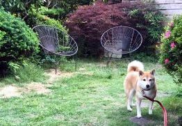 あああああ あああああ