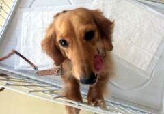 あああああ あああああ