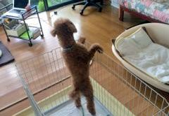 あああああ あああああ