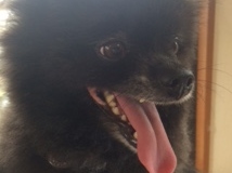 あああああ あああああ
