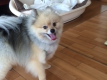 あああああ あああああ