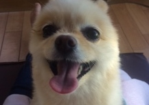 あああああ あああああ