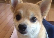 あああああ あああああ