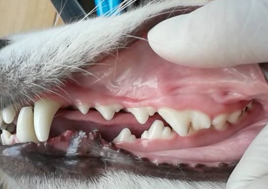 あああ あああ
