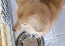 あああああ あああああ