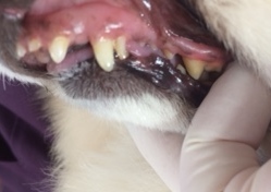 ああ ああ