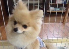 あああああ あああああ