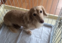 あああああ あああああ