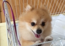 あああああ あああああ