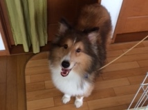 あああああ あああああ