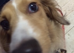 あああああ あああああ