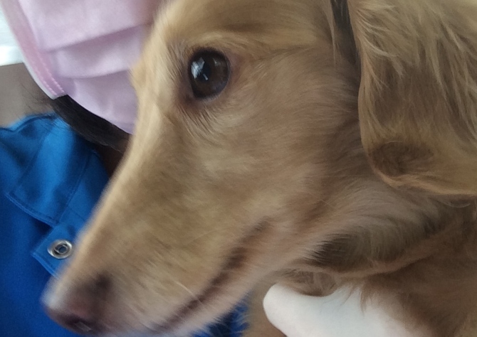 あああああ あああああ
