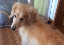 あああああ あああああ
