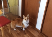 あああああ あああああ