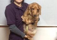 あああああ あああああ