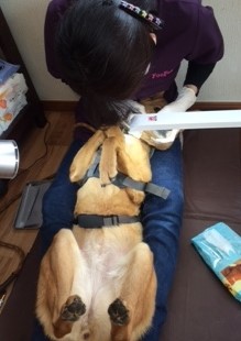 あああああ あああああ