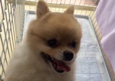 あああああ あああああ