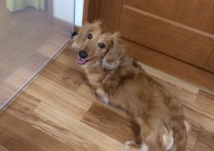 あああああ あああああ