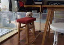 あああああ あああああ