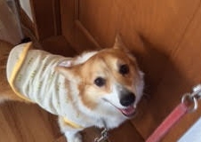 あああああ あああああ
