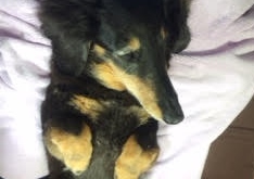 あああああ あああああ