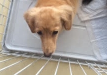 あああああ あああああ