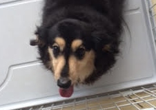 あああああ あああああ