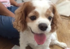 あああああ あああああ
