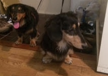 あああああ あああああ