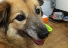 あああああ あああああ