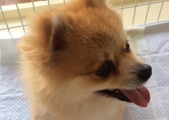 あああああ あああああ