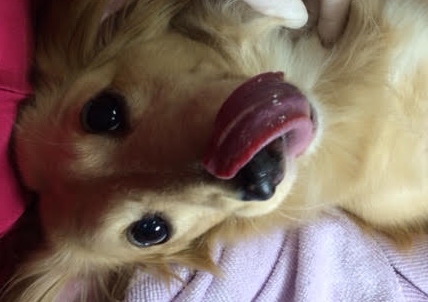 あああああ あああああ