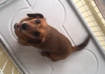 あああああ あああああ