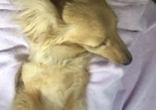 あああああ あああああ