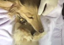 あああああ あああああ