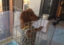あああああ あああああ