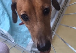 あああああ あああああ