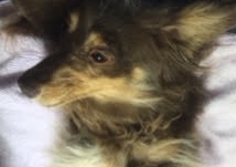 あああああ あああああ