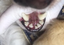 あああ あああ